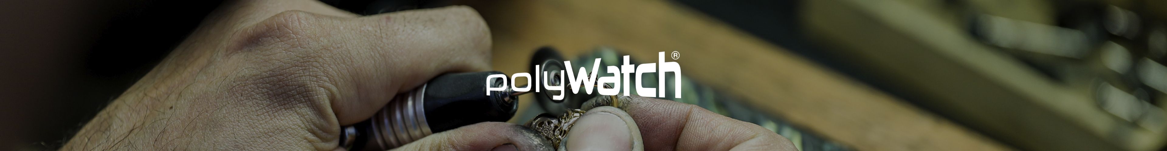 PolyWatch