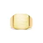 IX Studios Octagon Signet Sormus Hopeakullattu DMN0290GD