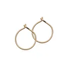 Blomdahl Ear Ring Korvakorut Titaani 15-1351-00