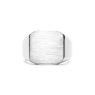 IX Studios Octagon Signet Sormus Hopea DMN0290RH