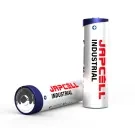 Akku Japcell Alkaline AA / LR06 Paristo 2 Kpl. 100034223