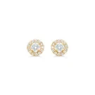 Diamond Dream Rosette Korvakorut Kulta 0,36 ct. 01-511010
