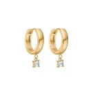 Velara Lione Crystal Pendant Drops Korvakorut Kullattu ruostumaton teräs VLR1013
