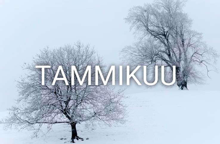 Kaksi puuta lumessa ja teksti tammikuu