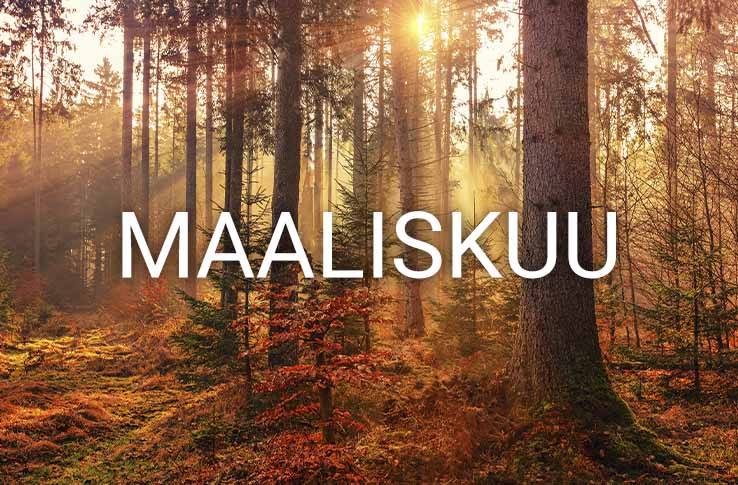 Mets&auml;, jossa on kev&auml;&auml;n v&auml;rej&auml; ja teksti maaliskuu