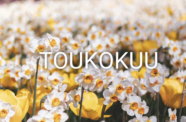 Kukkia puhkeamassa ja teksti toukokuu